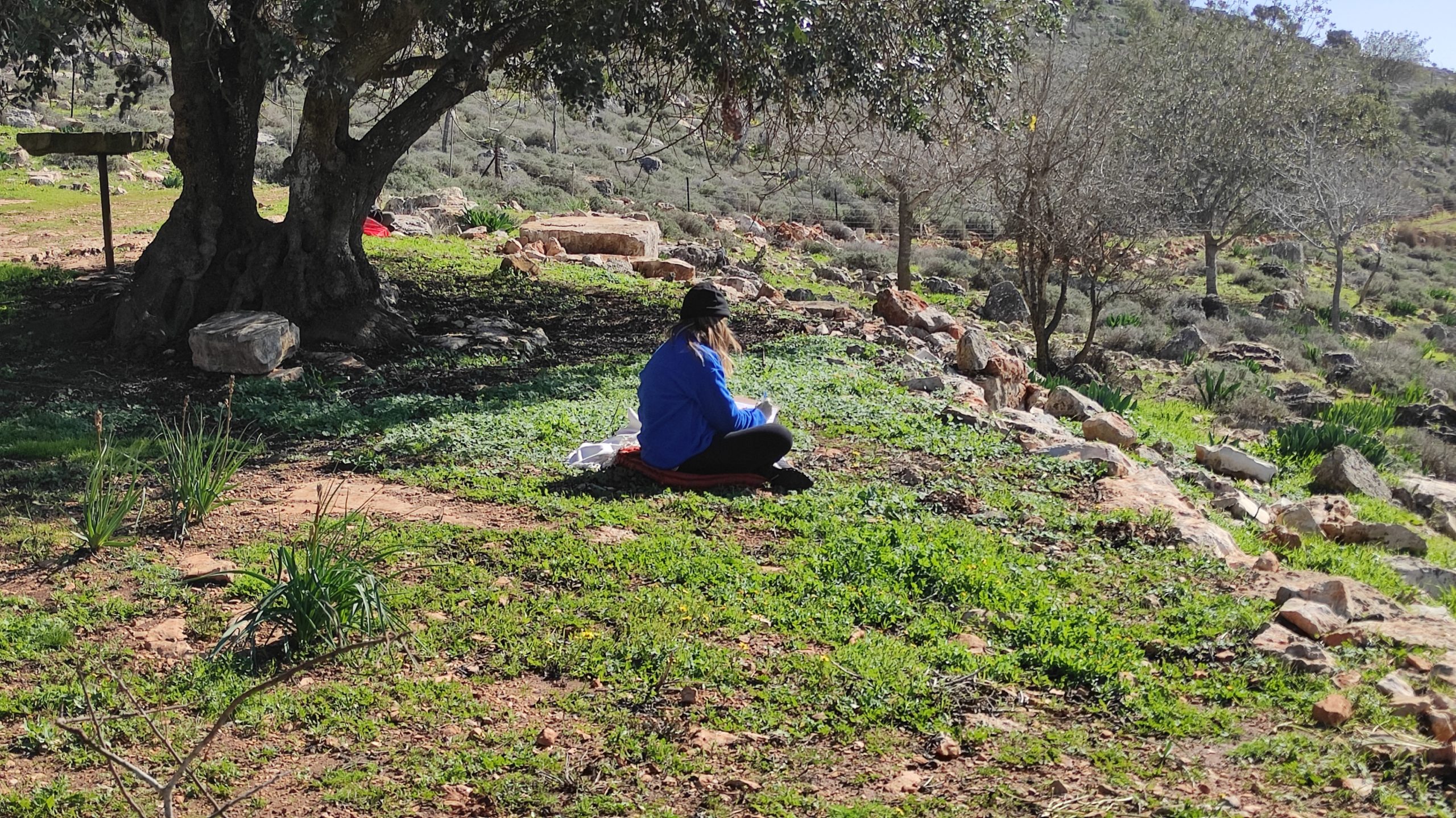 ריטריט השתחררות בגיאורגיה — 2