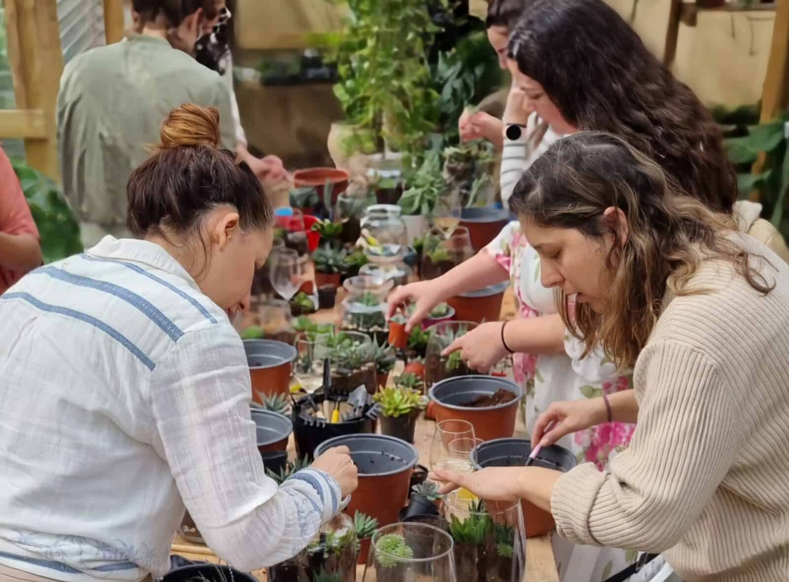 עולם קטן בתוך זכוכית – סדנת טרריום סוקולנטים — 2