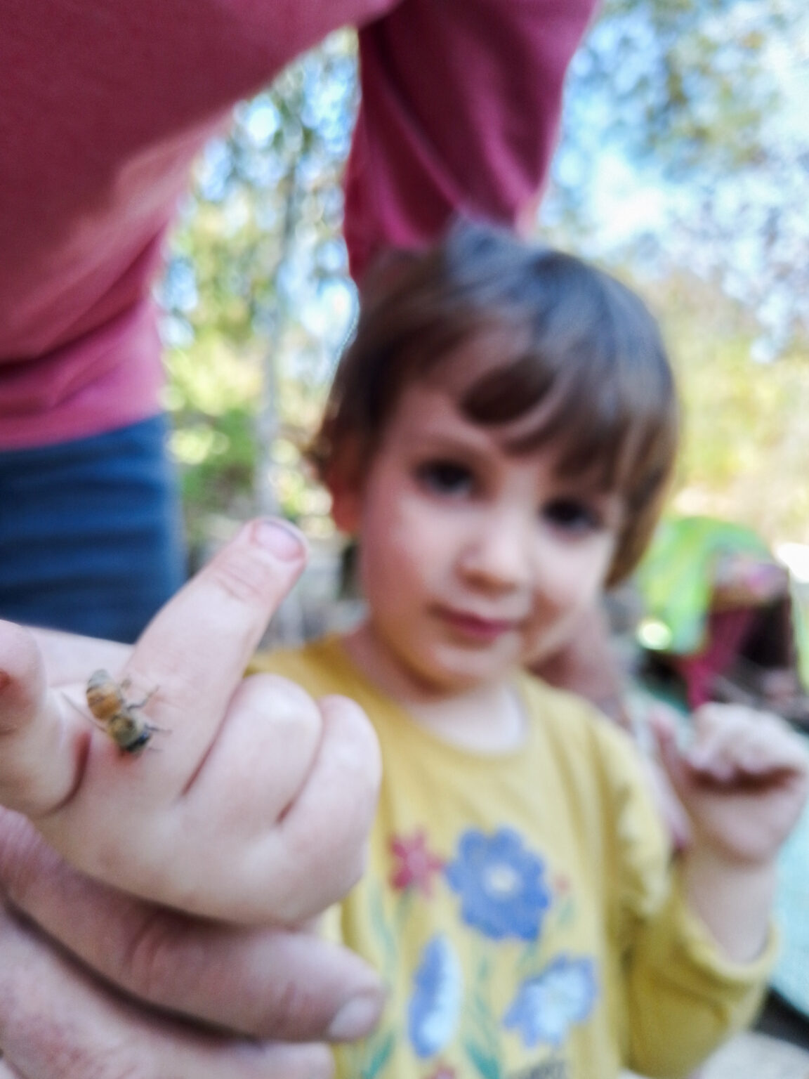 סדנת דבוראות — 2