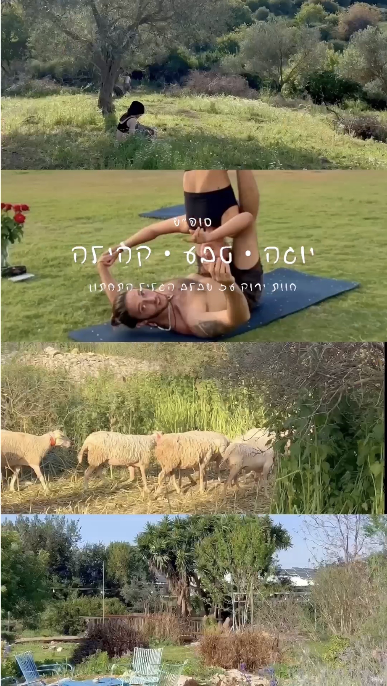ריטריט יוגה נחת וטבע בצפון — 5