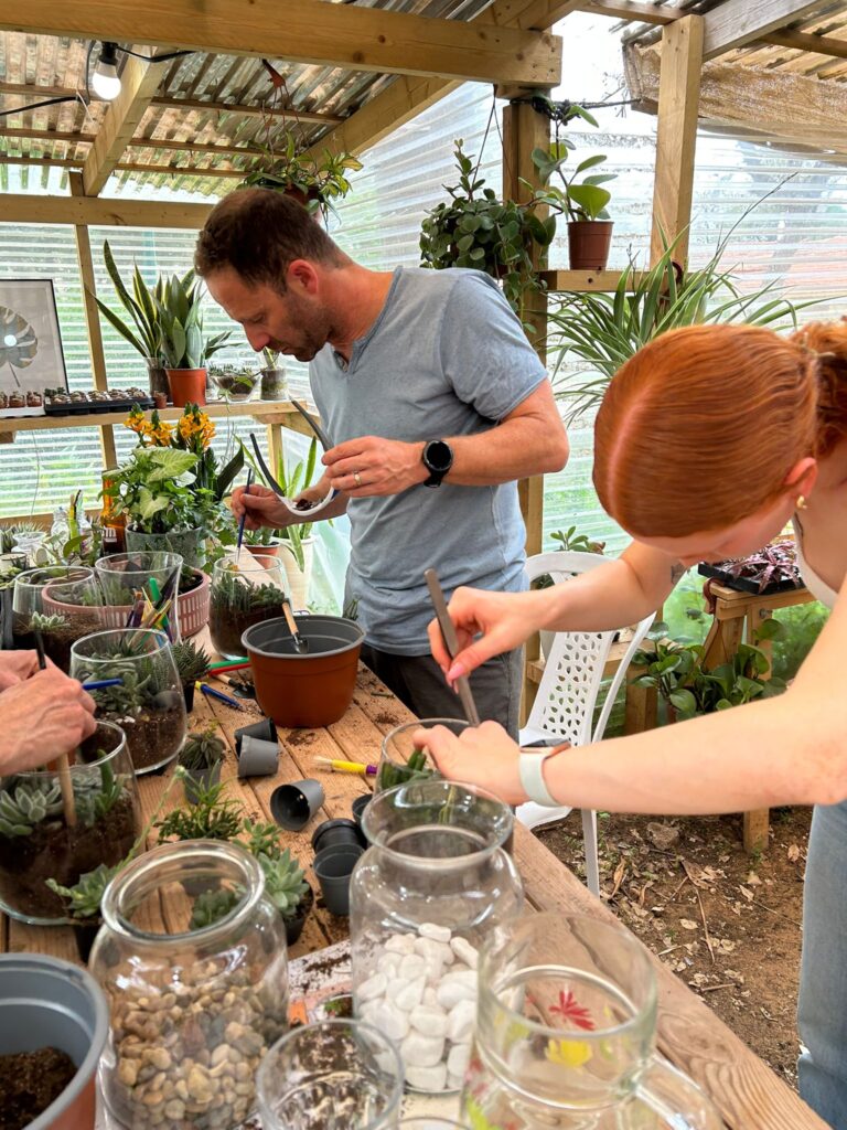 סדנת טרריום בצפון