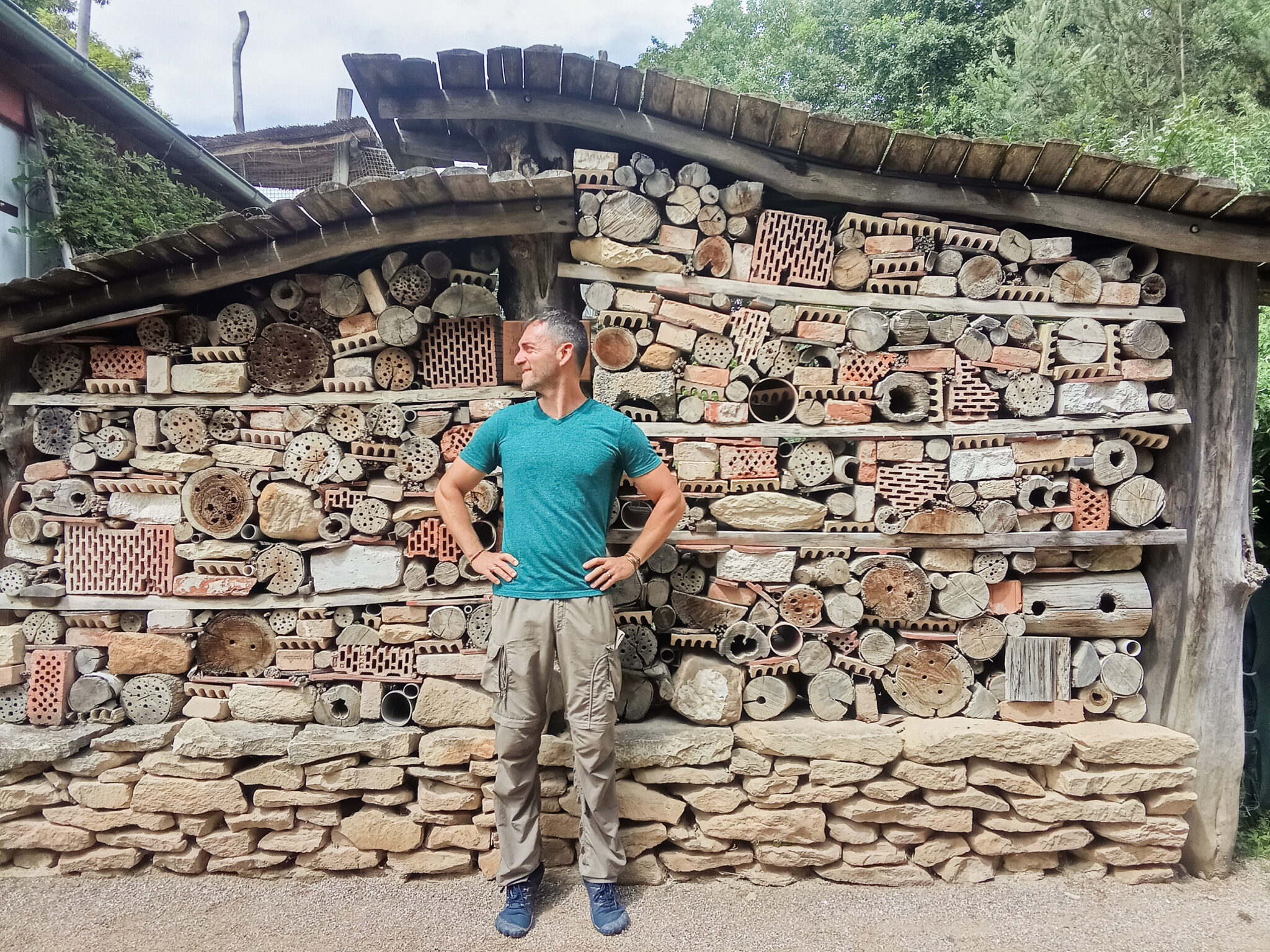 סדנת בתי מלון לחרקים