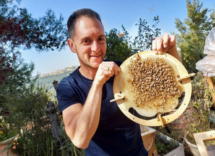 סדנת דבוראות